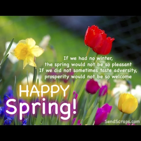 HAPPY NEW MONTH OF MARCH  🌺😇🎈🎉to every 1  ❤️ - Picture 4 of 6